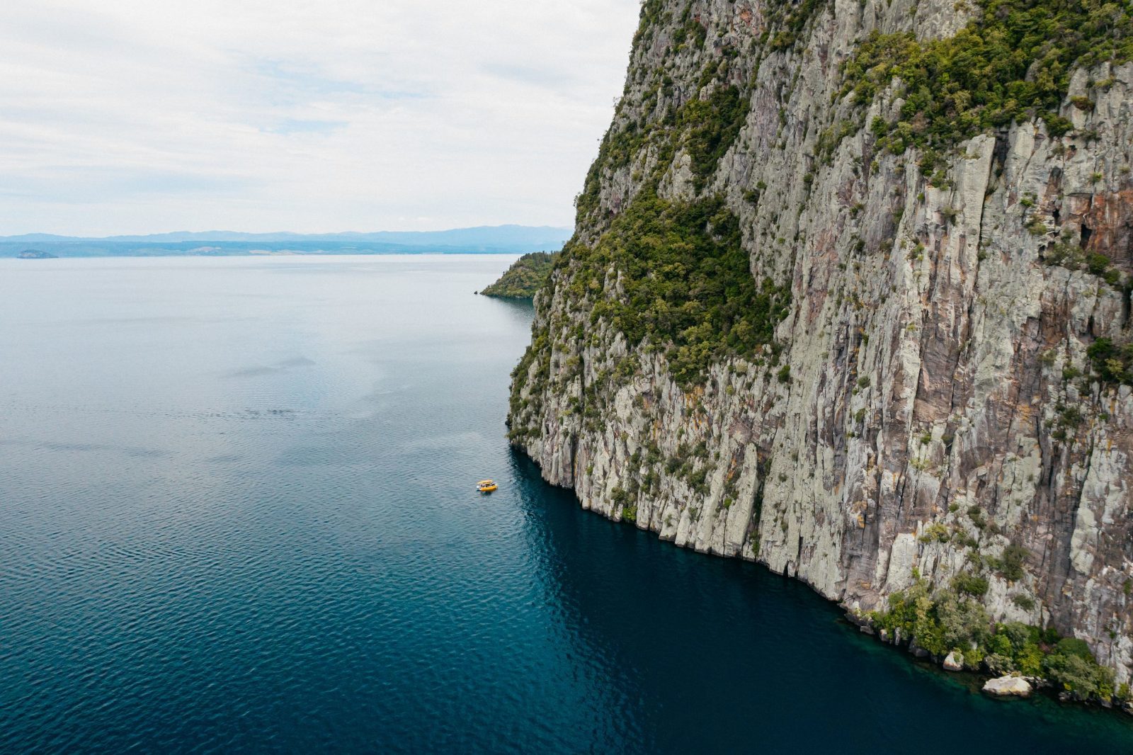Western Bays Cliff Face