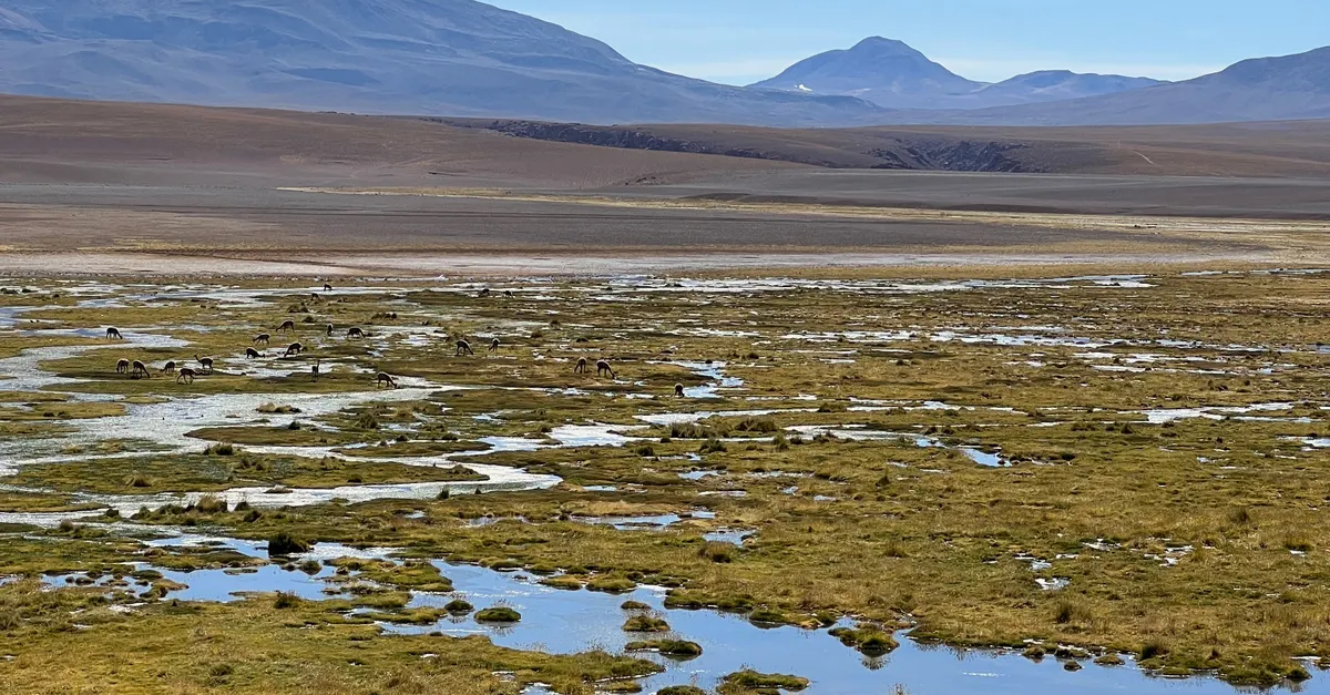 Putana Wetland
