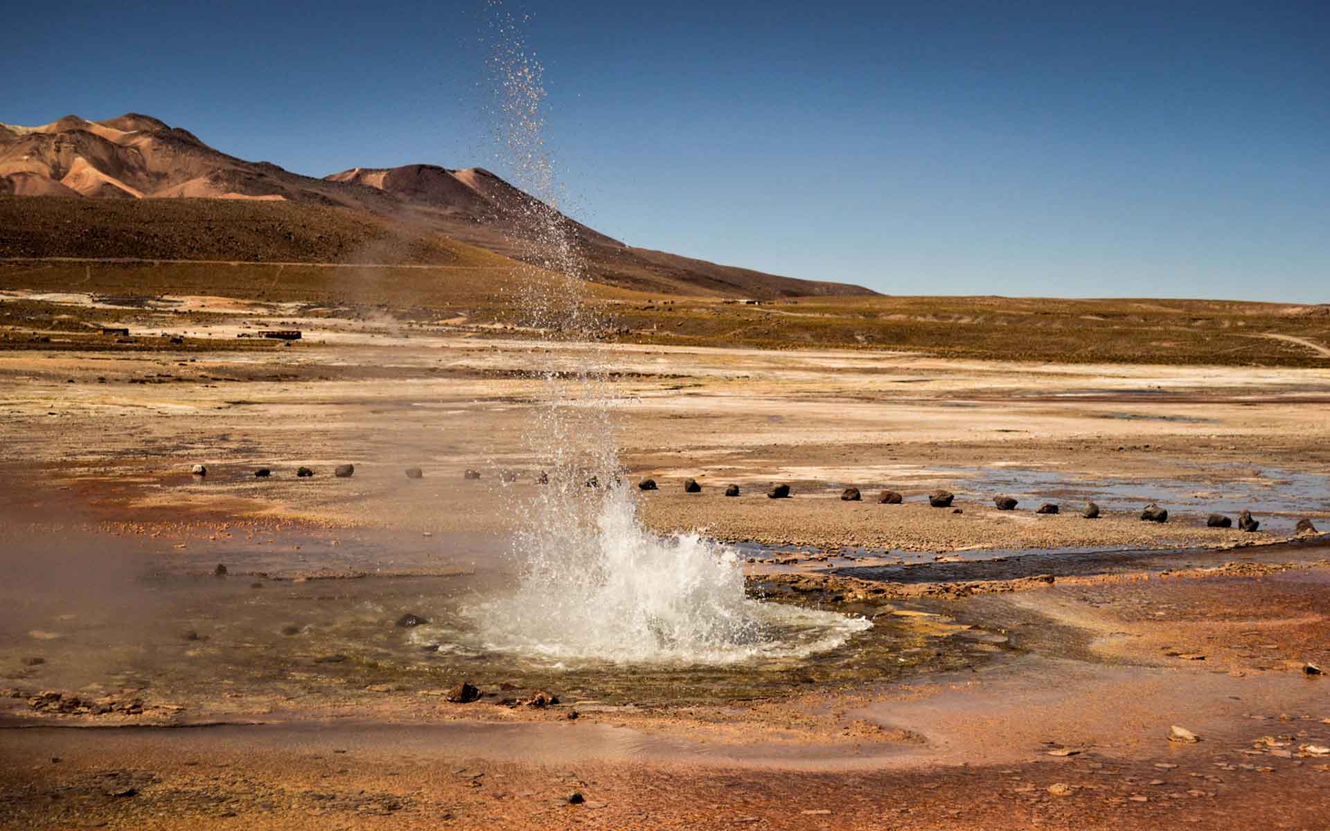 Central Geyser Field