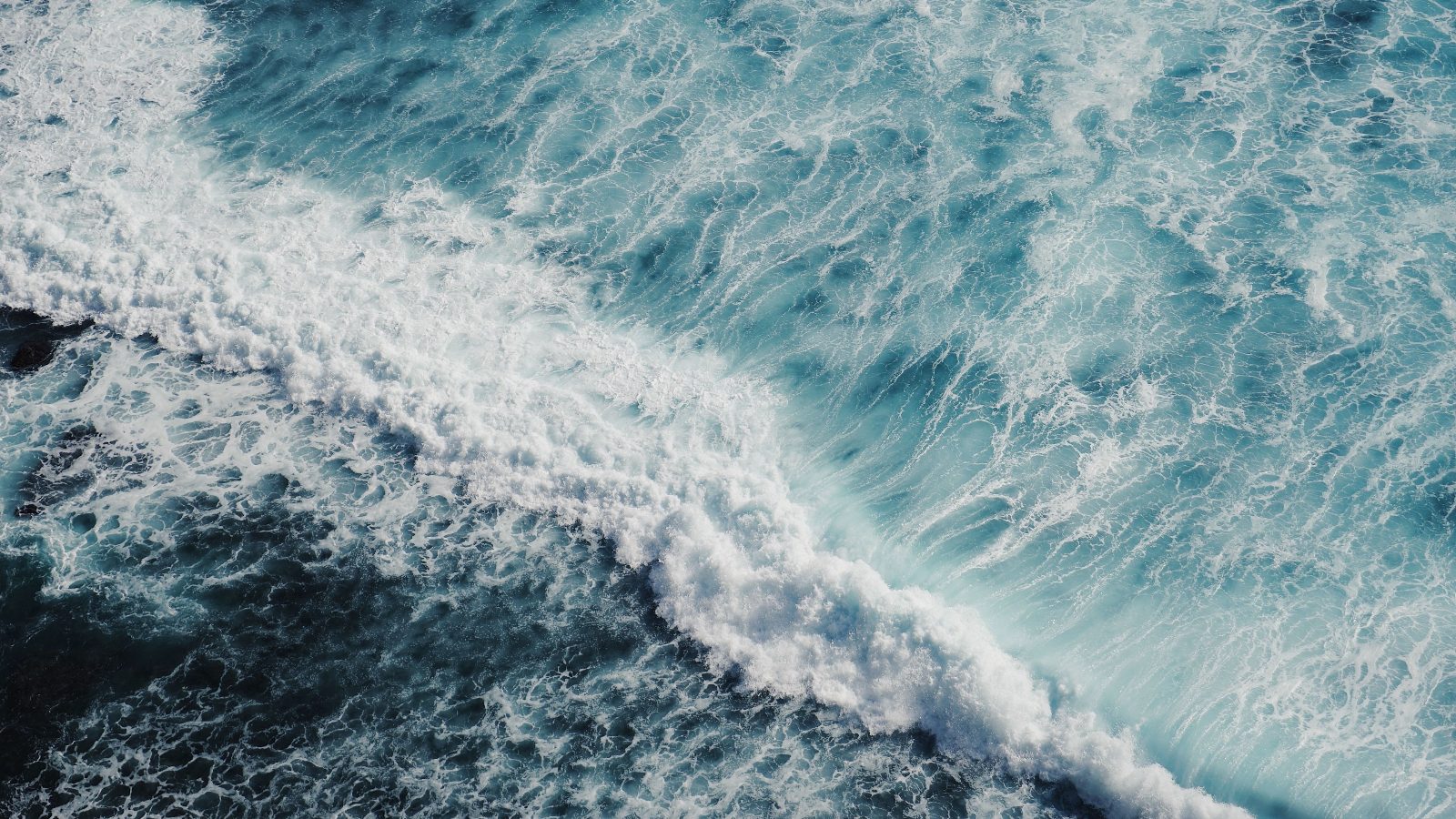 Cruise Departure