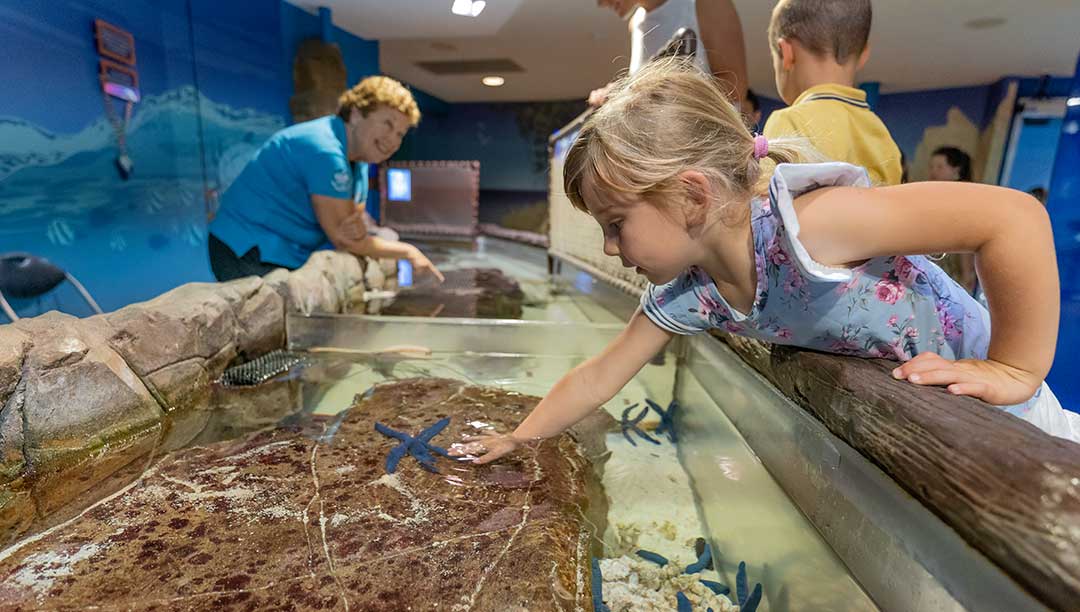 Marine Mammal Touch Tank