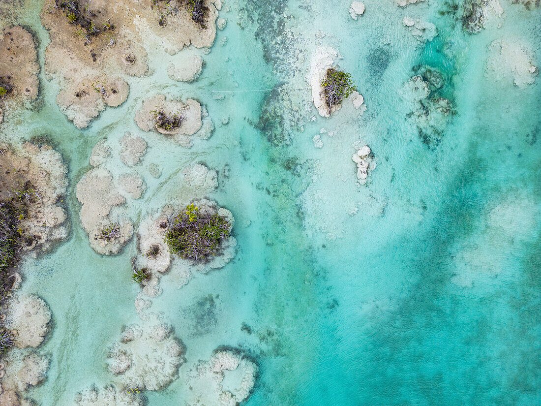 Stromatolites