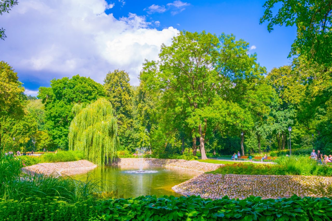 Bernardine Garden