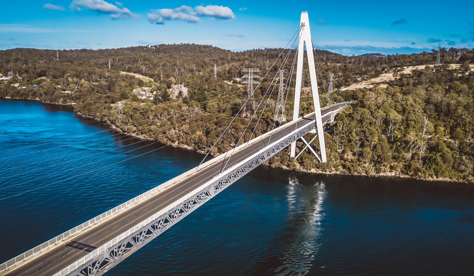 Batman Bridge Lunch Cruise Experience