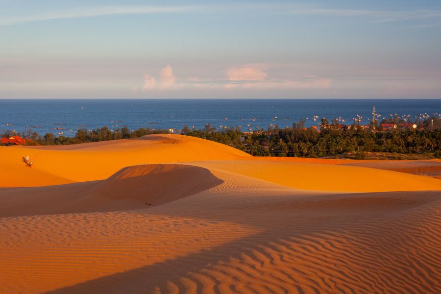 Red Sand Dunes