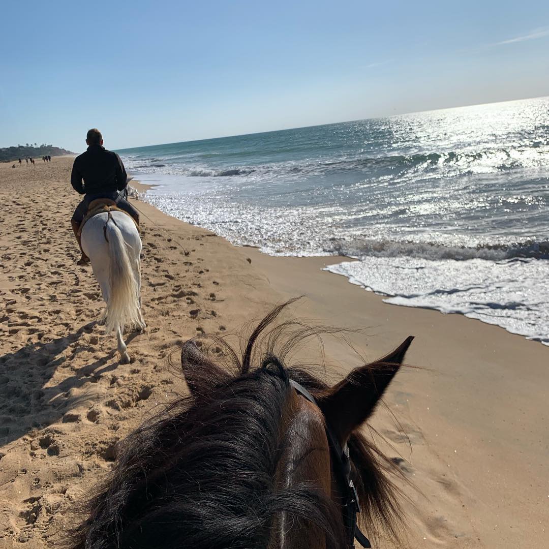 Algarve Horse Riding