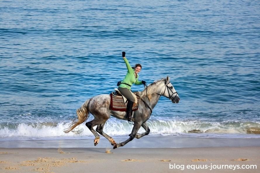 Your experience at Algarve Horse Riding