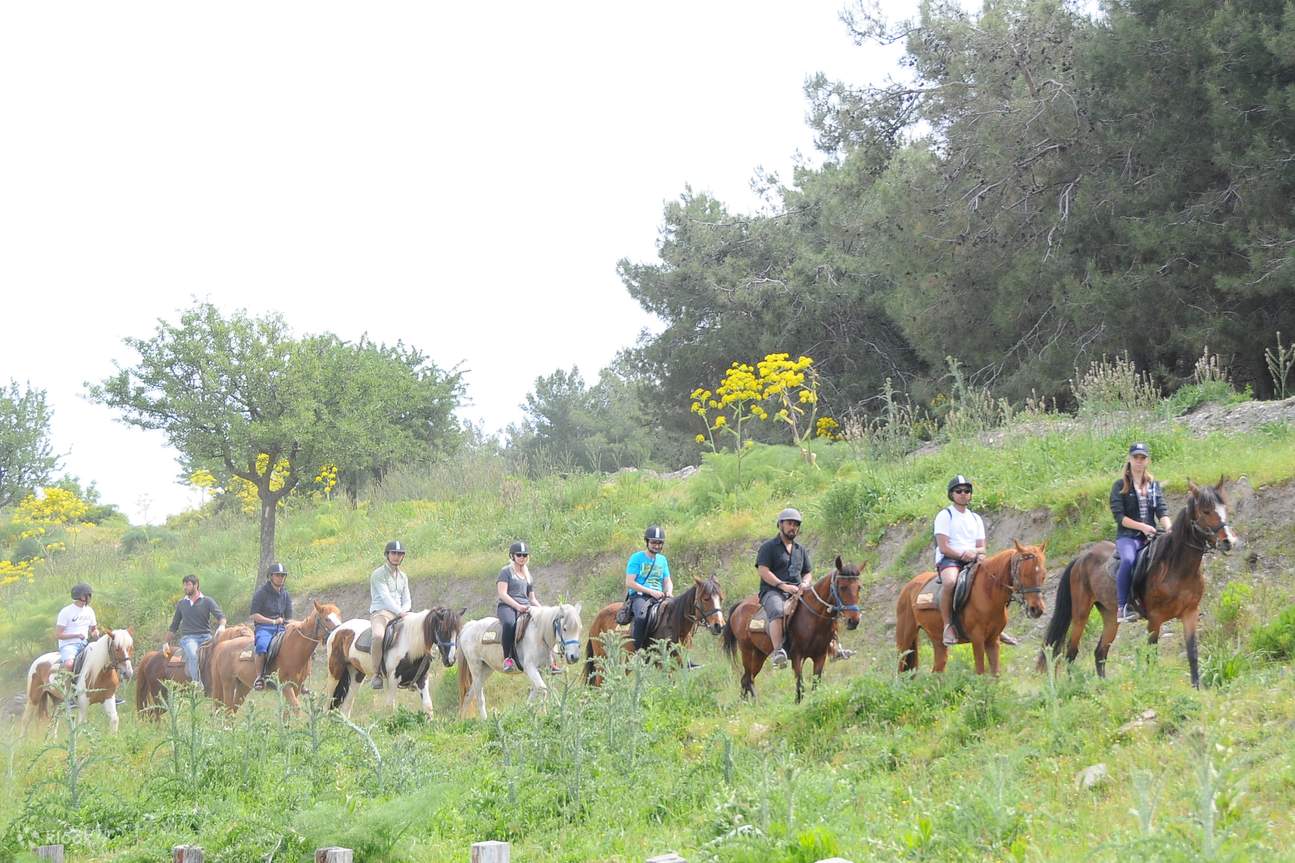 Algarve Horse Riding Through Coastal Trails