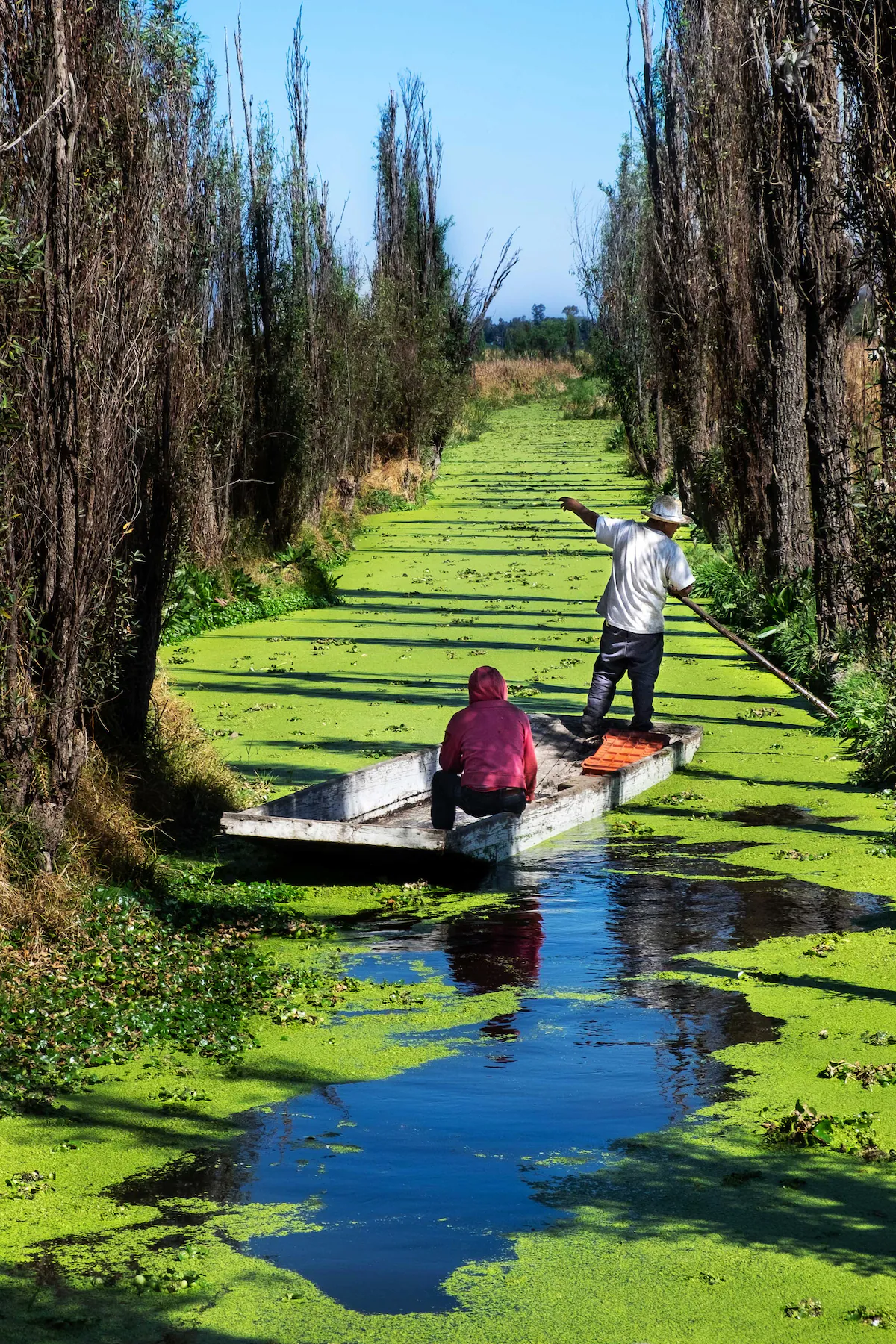 Chinampas of Xochimilco