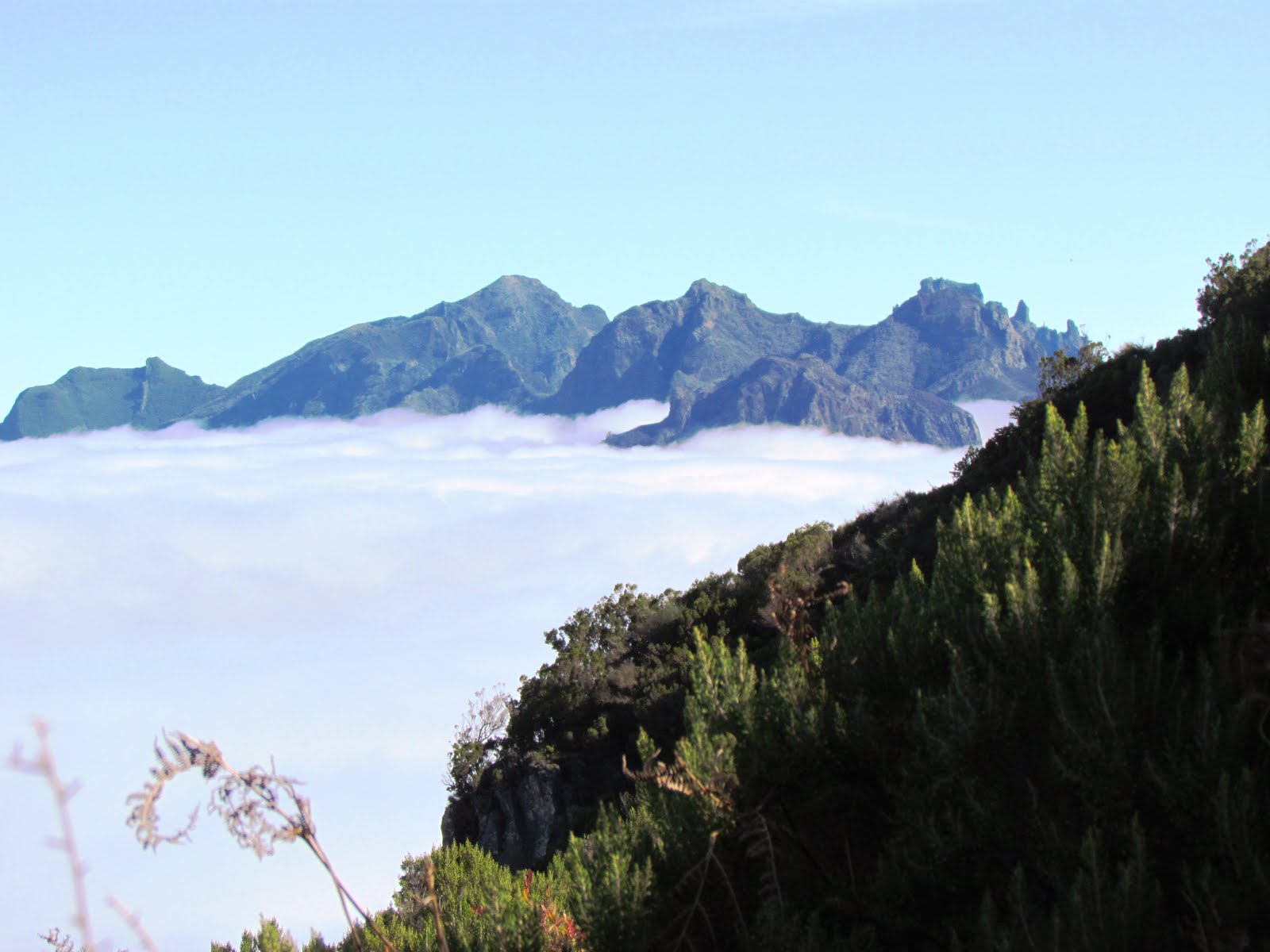 West Madeira Jeep Tour Overview