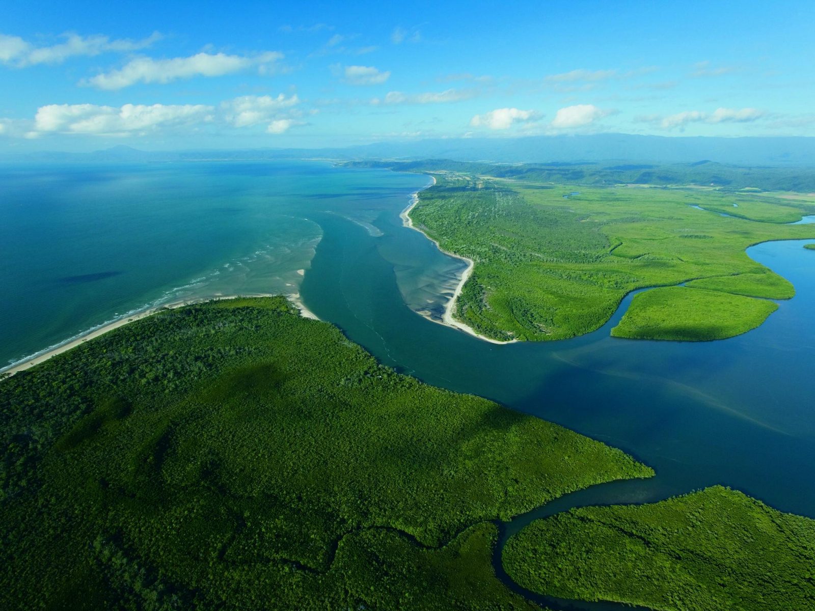 Daintree River Crocodile Cruise Experience