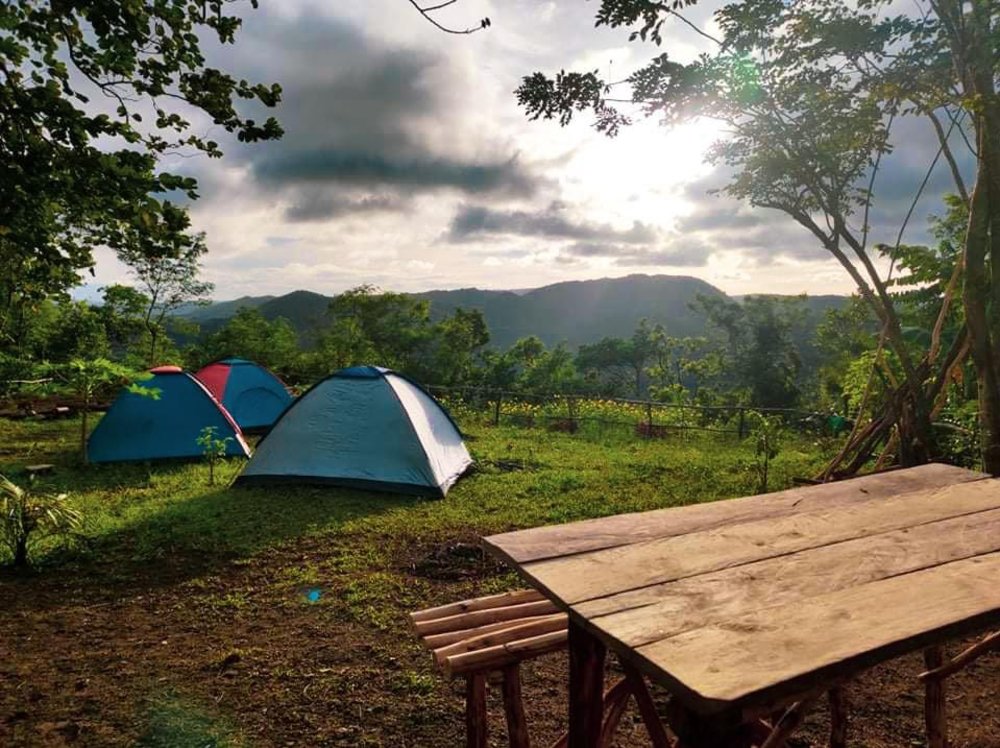 Safari Lodge