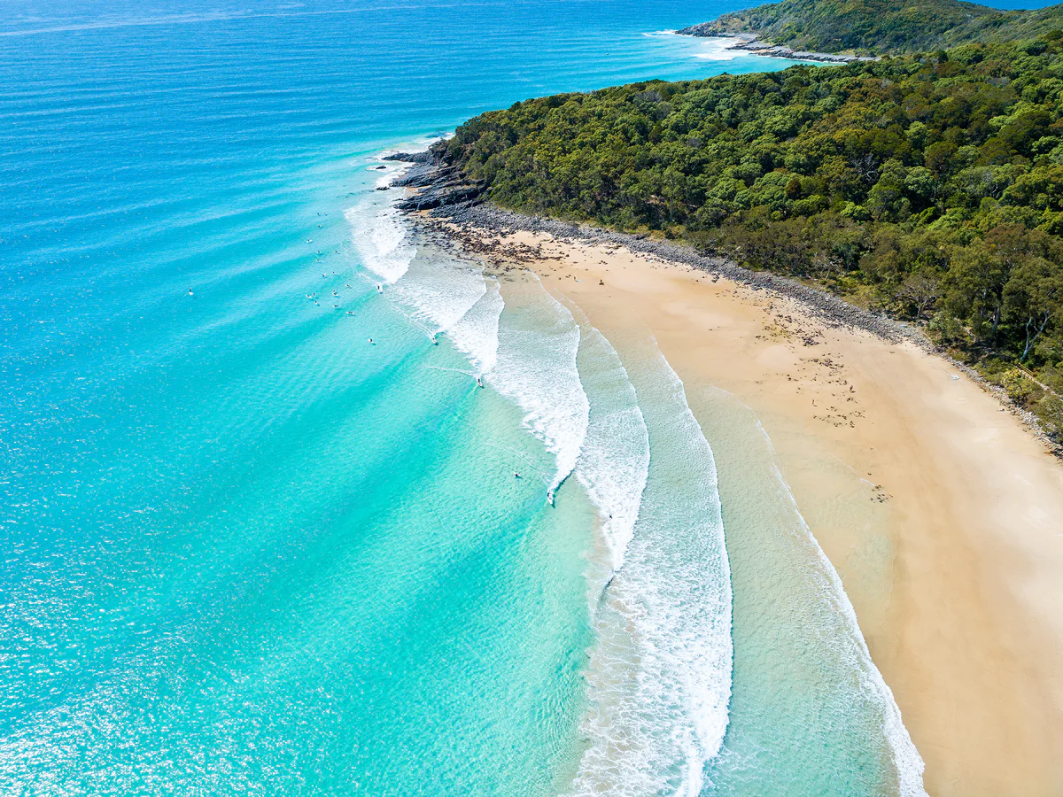 Cape Tribulation