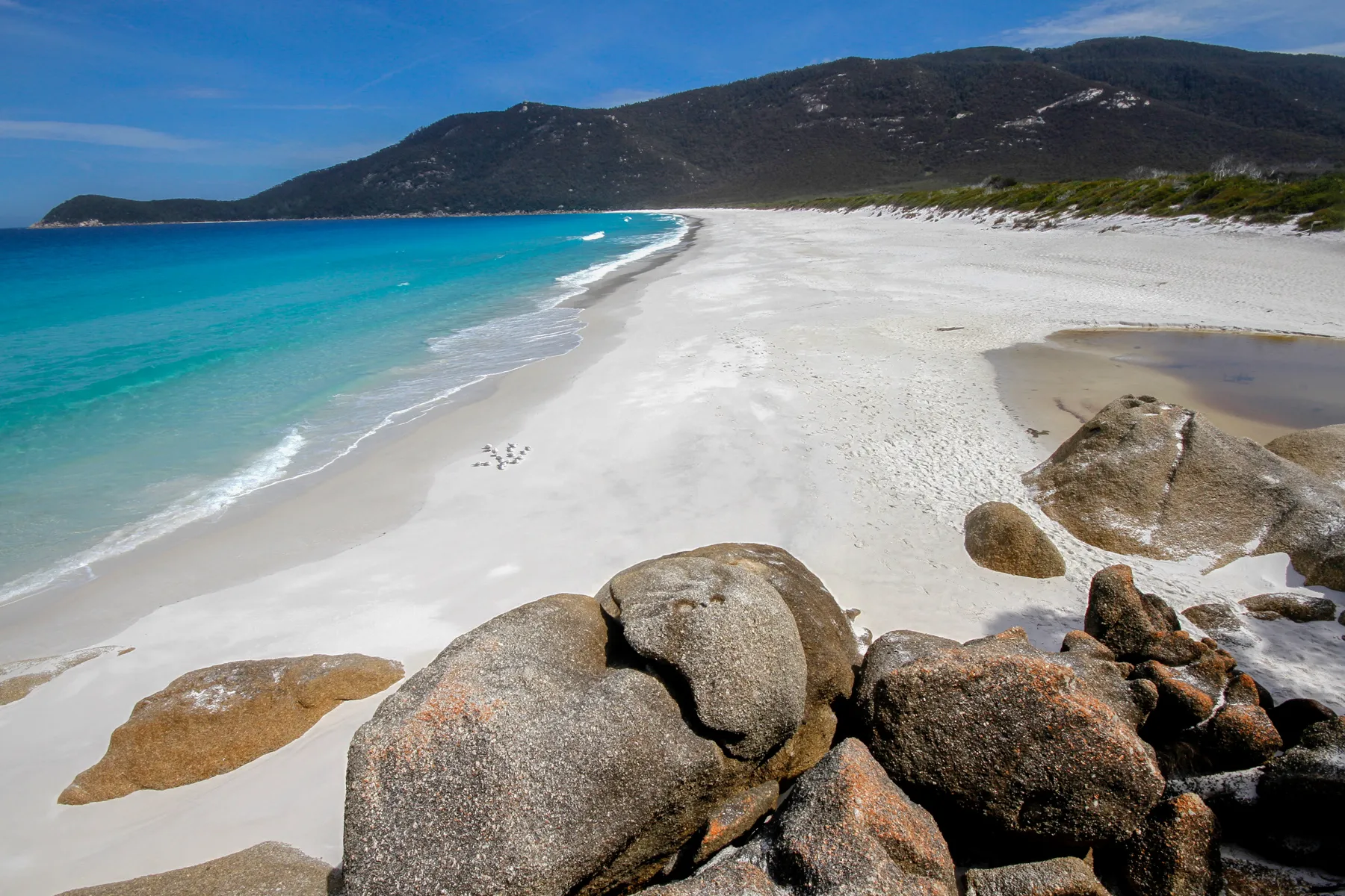 Waterloo Bay