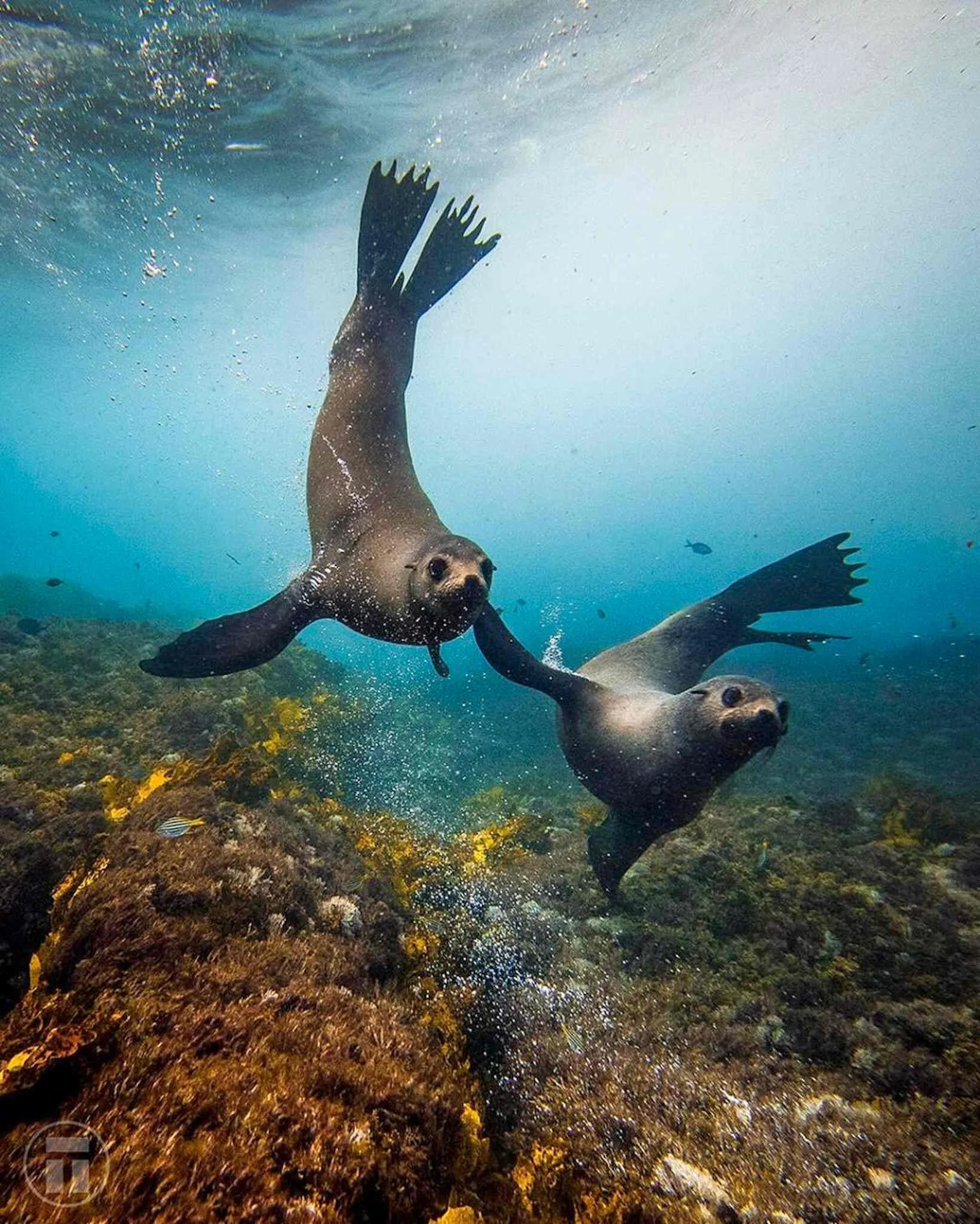 Your experience at Wilsons Promontory Cruises