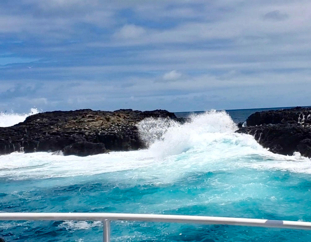 Wilsons Promontory Cruises Overview