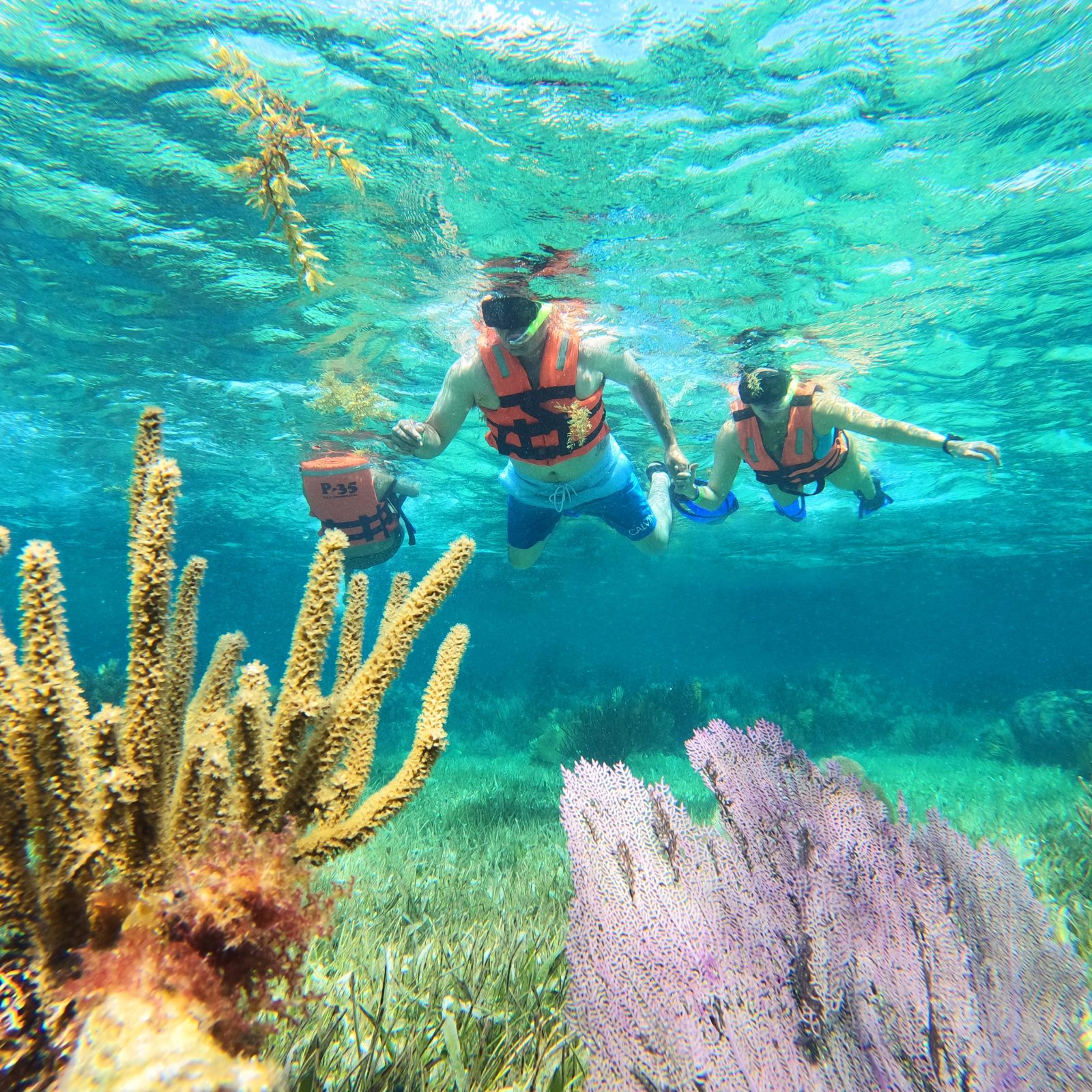 Snorkeling Session One