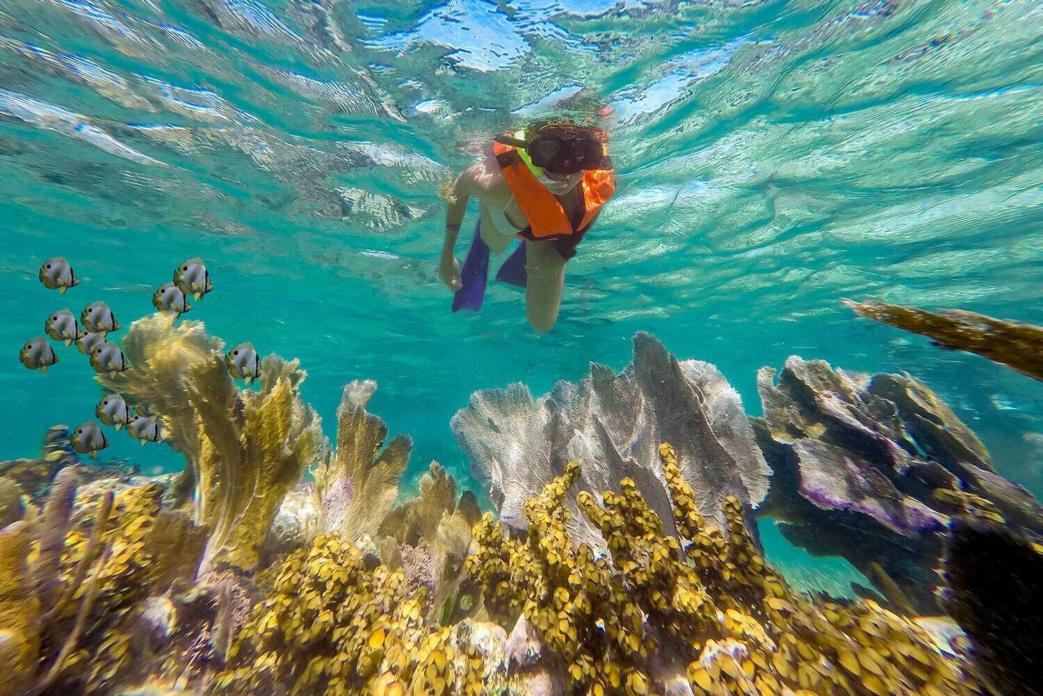 Snorkeling Session Two