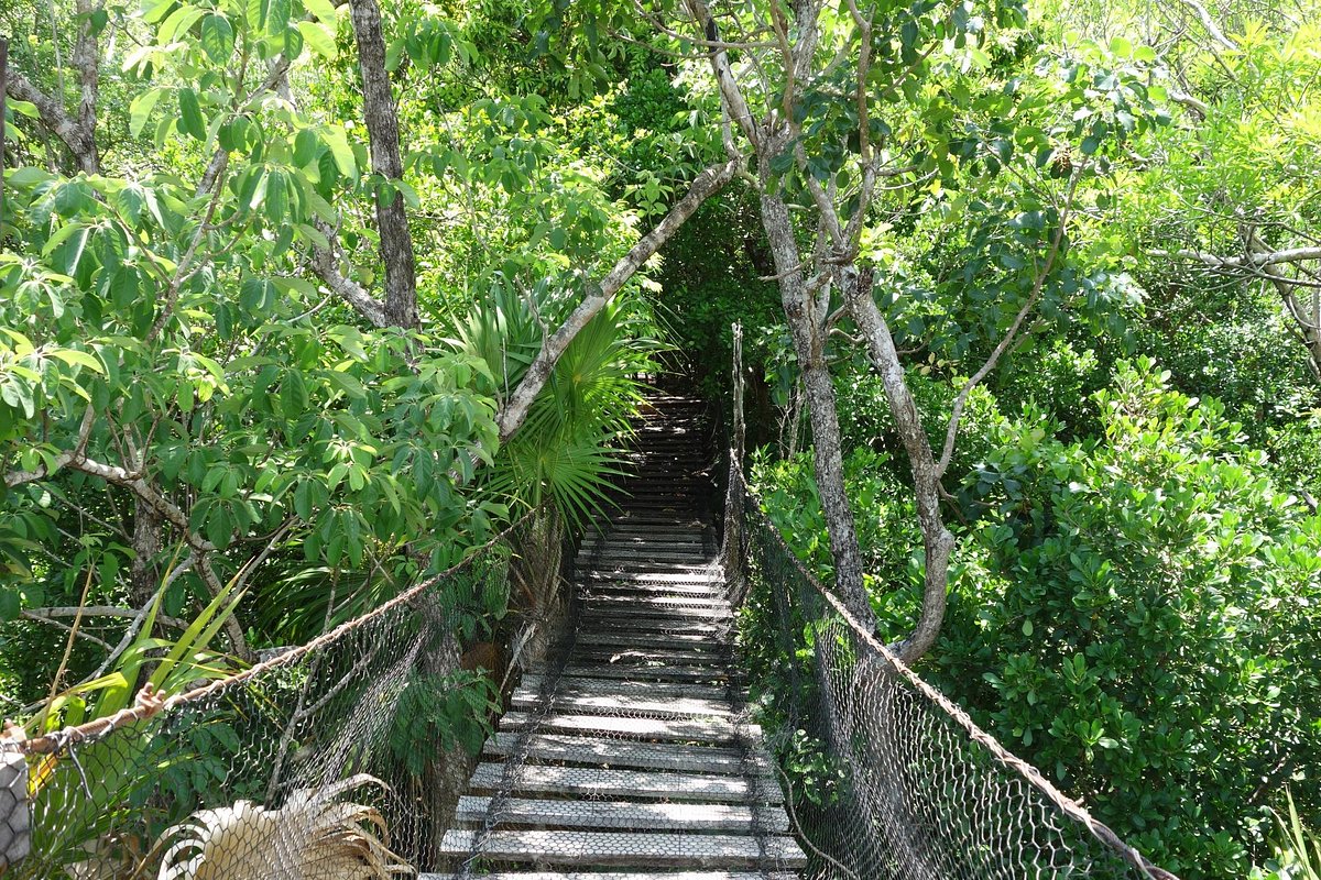 Jardín Botánico Dr. Alfredo Barrera Marín