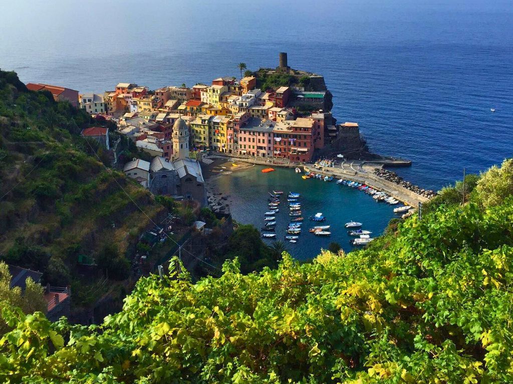 The Venteglia Reefs