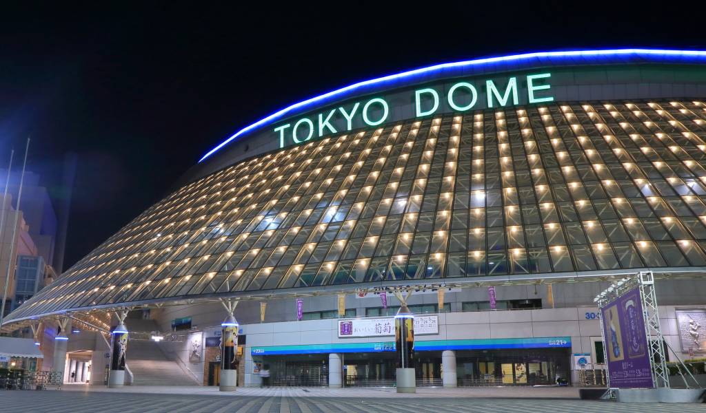 Tokyo Baseball Tickets