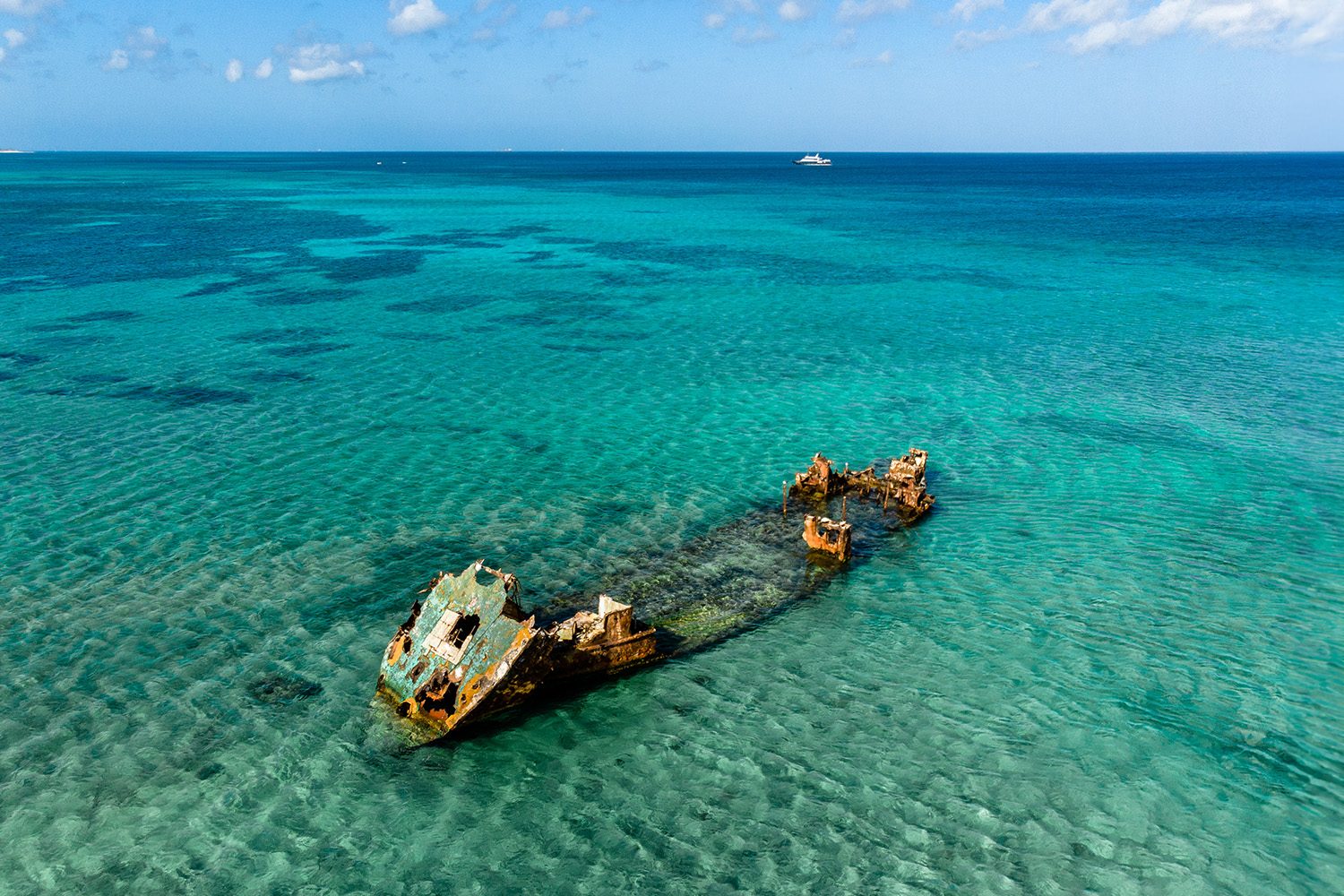 Aruba Snorkeling Tours: Tropical Reefs & Shipwrecks