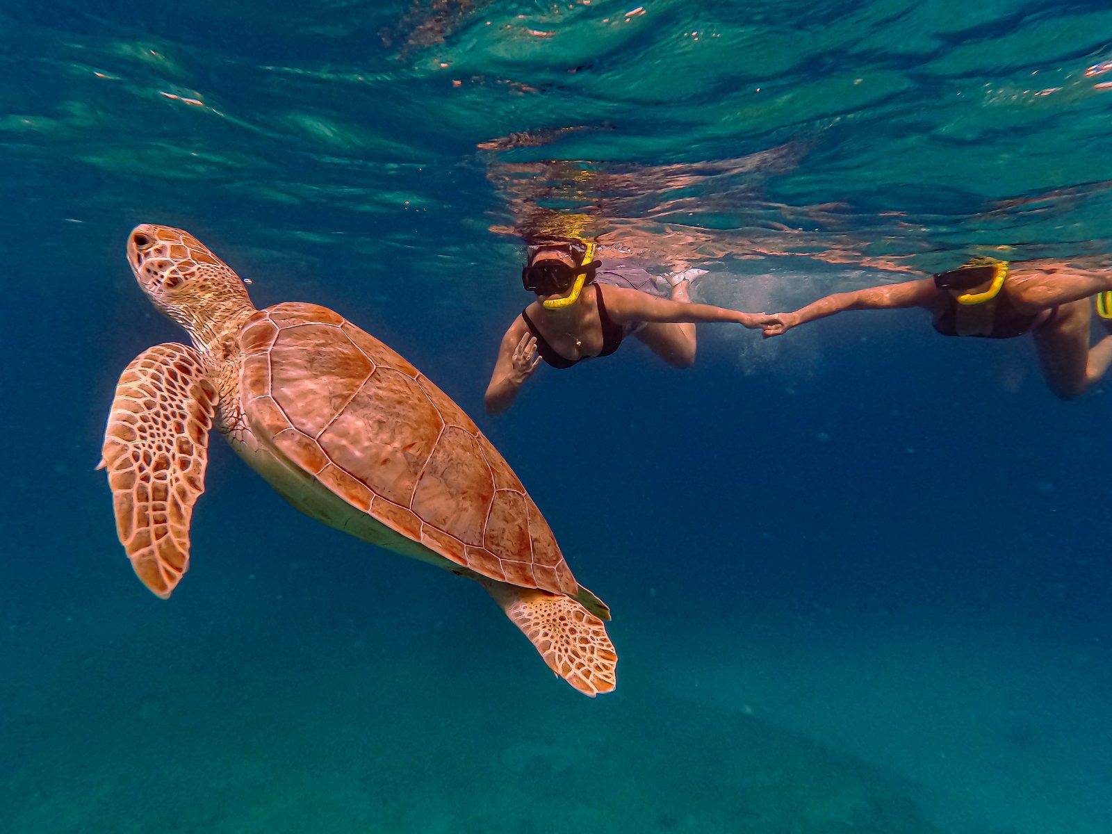 Aruba Snorkeling Tours