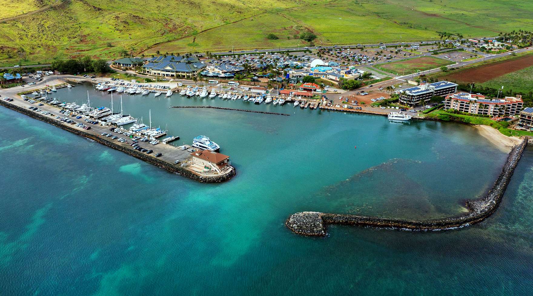 Maalaea Whale Watching Tour from Maalaea Harbor