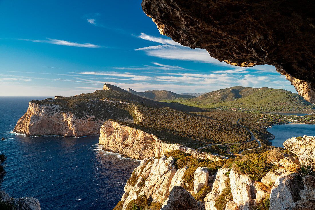Alghero Dolphin Watching Experience