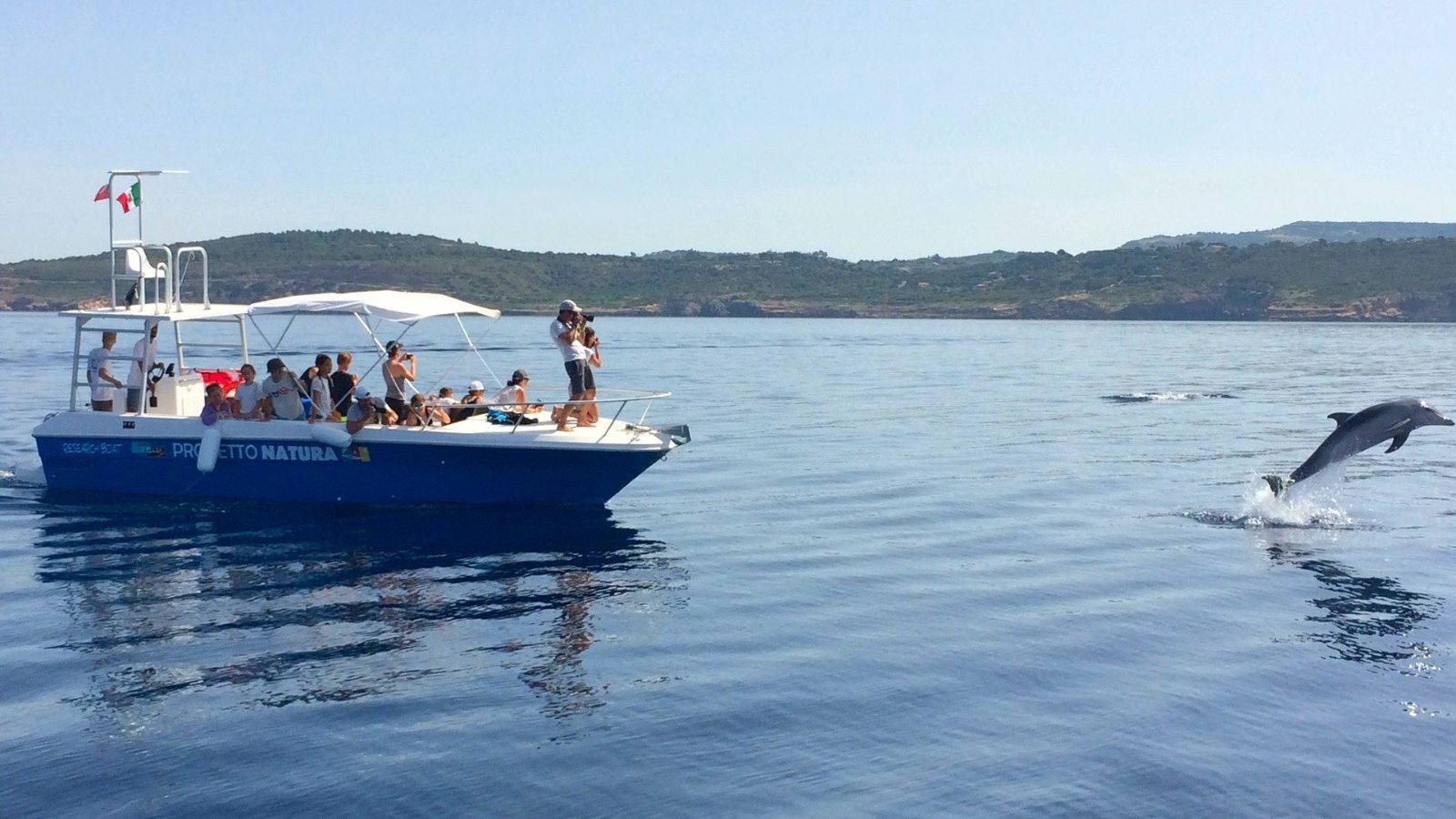 Your experience at Alghero Dolphin Watching