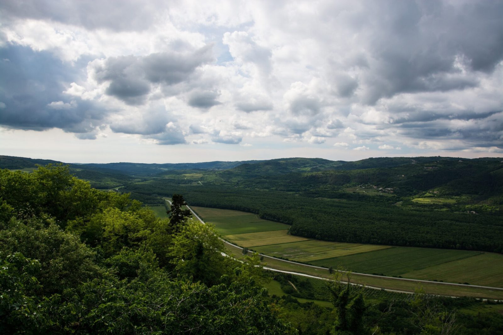 Mirna River Valley