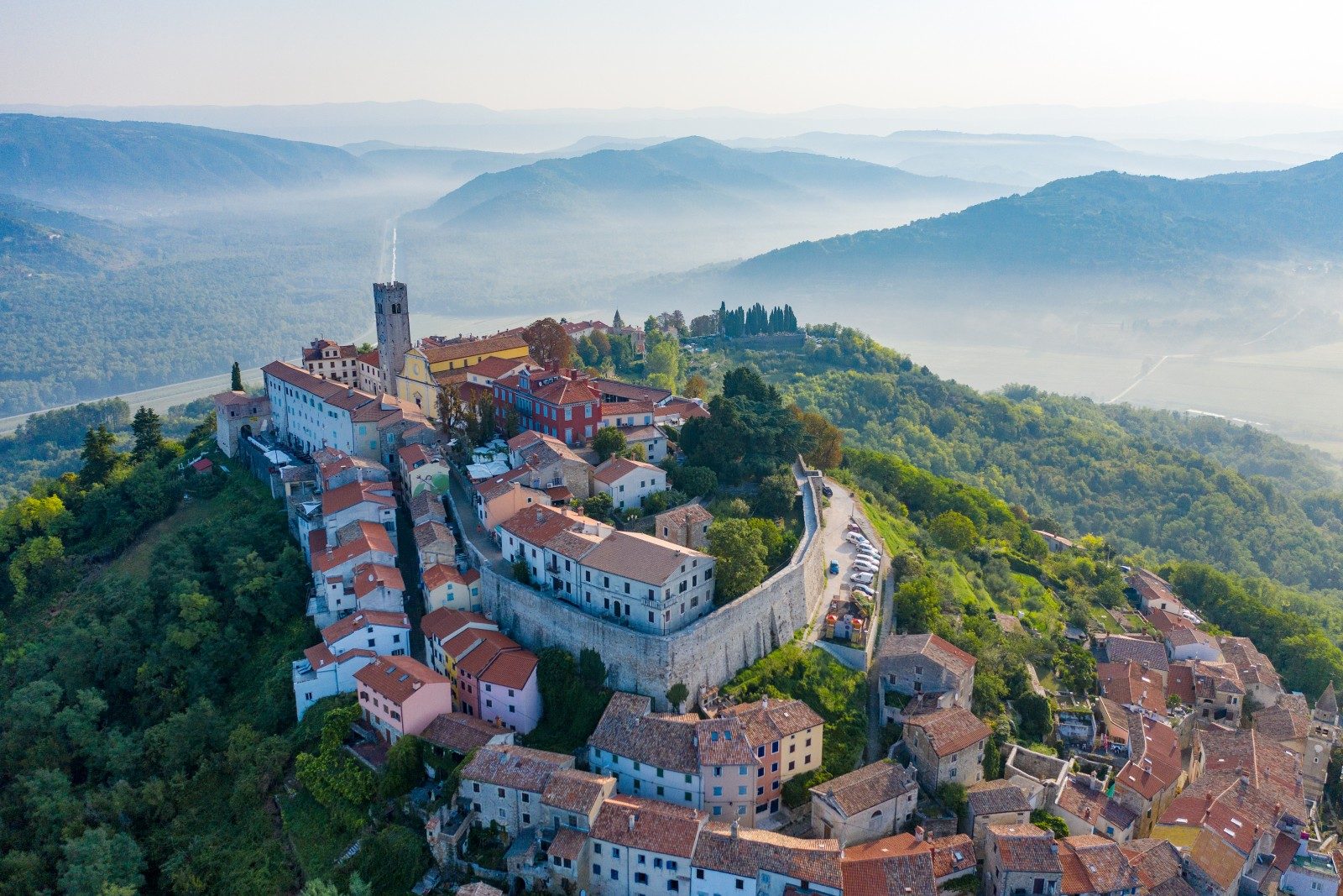 Truffle Hunting Istria Experience