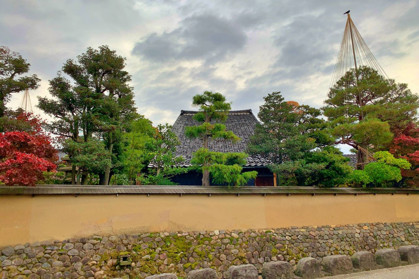 Your experience at Kanazawa Samurai Tour