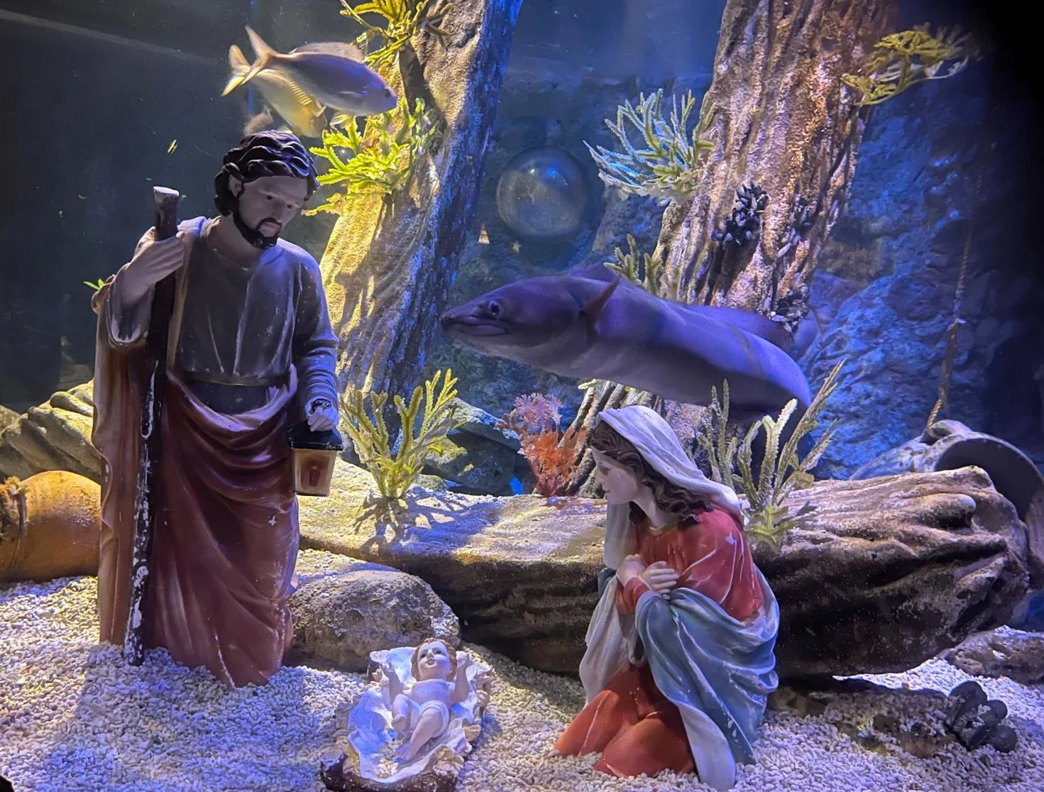 Underwater Nativity Scene
