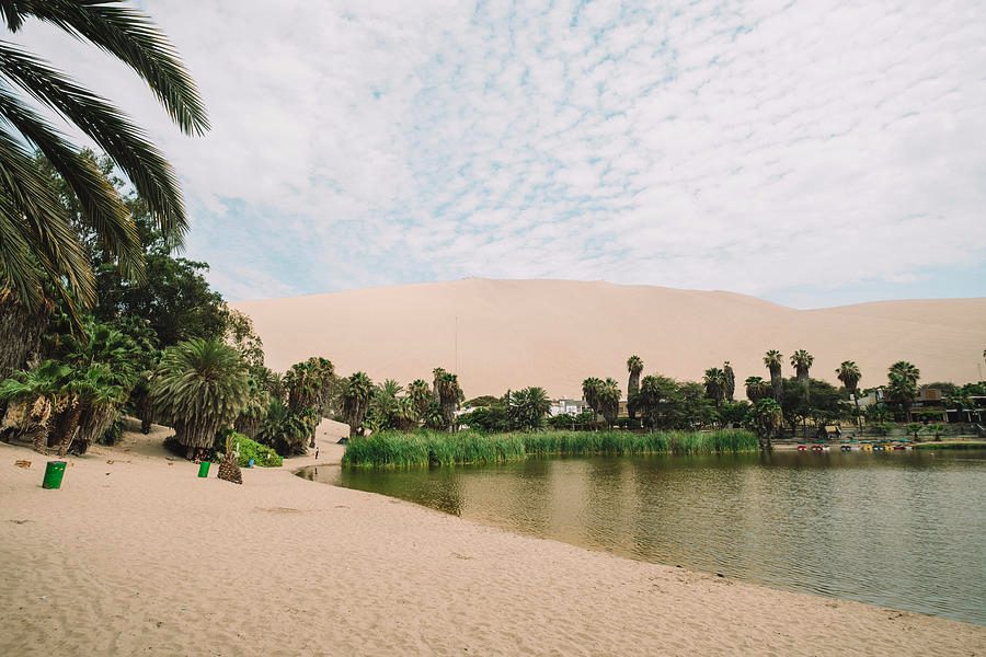 Your experience at Lima to Huacachina Tour