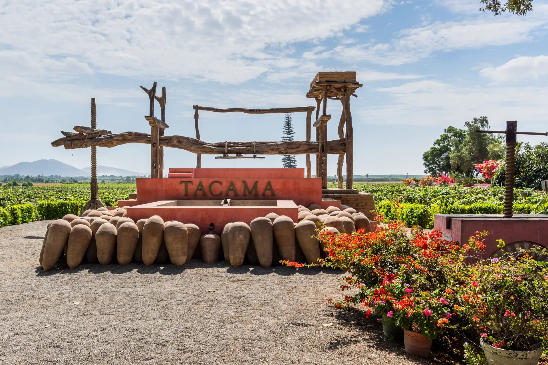 Tacama Vineyard
