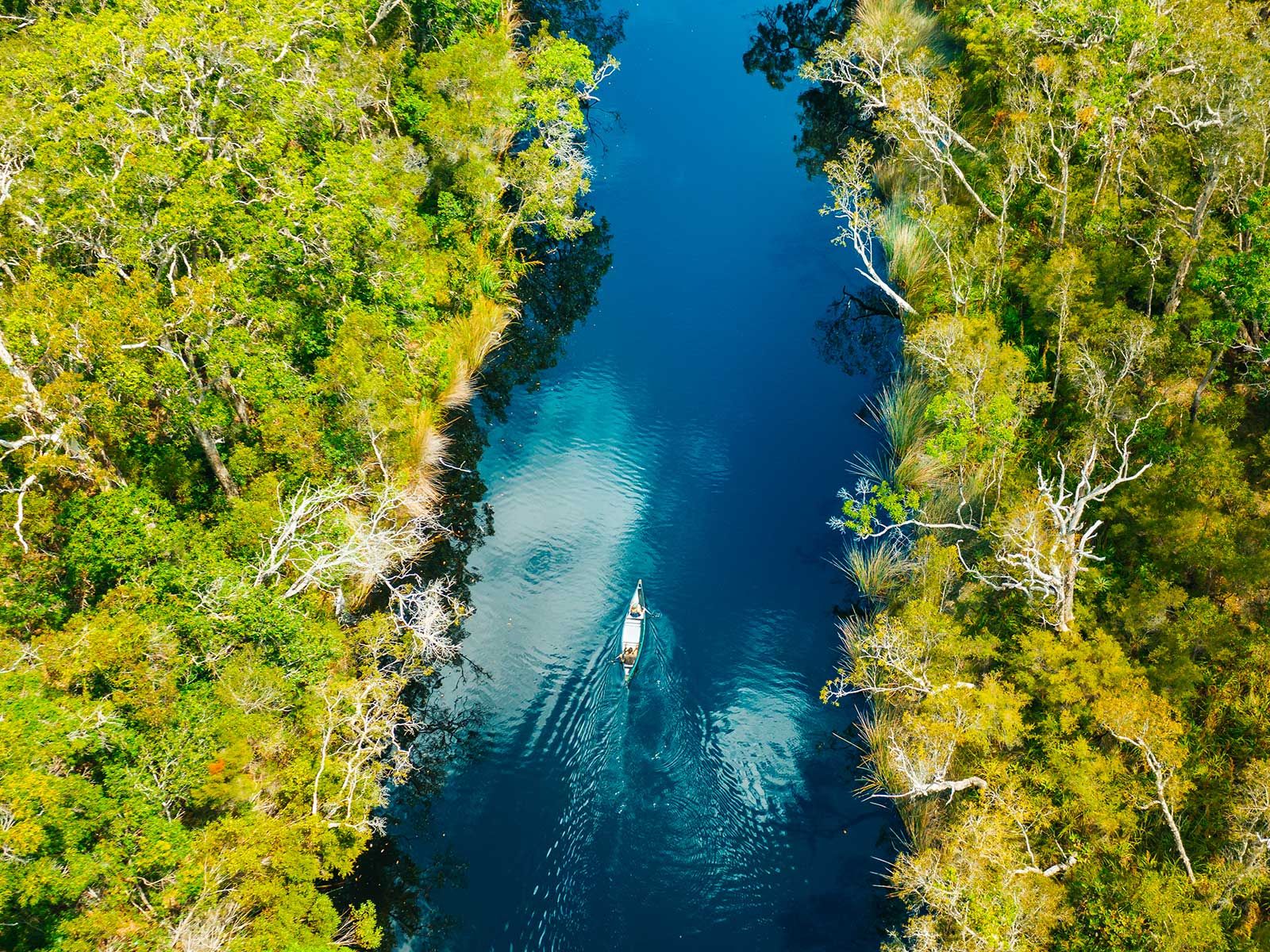 Noosa Everglades Kayak Tour