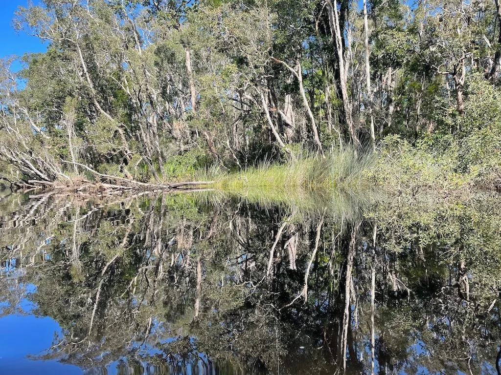 Noosa Everglades Kayak Tour Experience