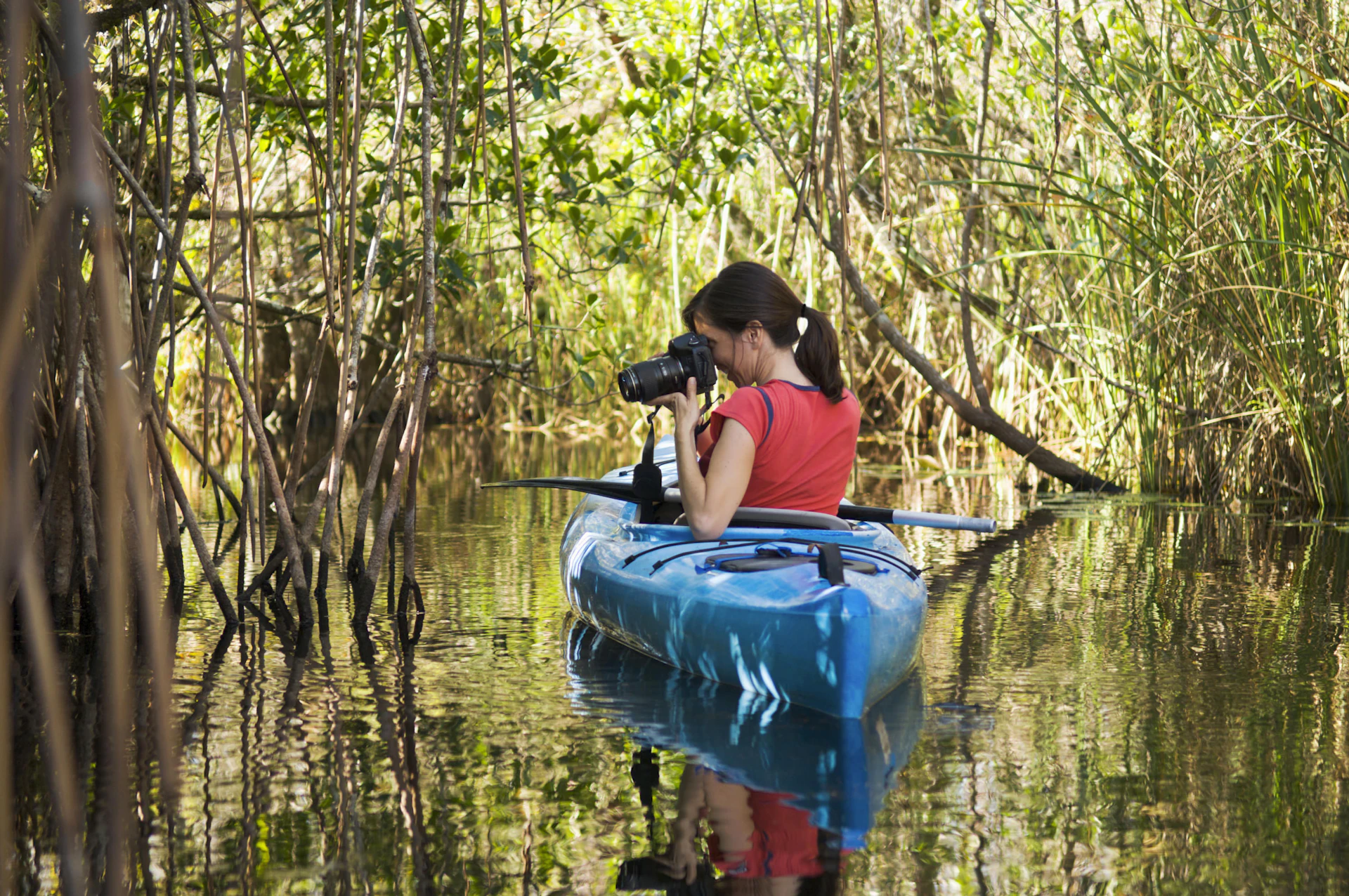 Your experience at Noosa Everglades Kayak Tour
