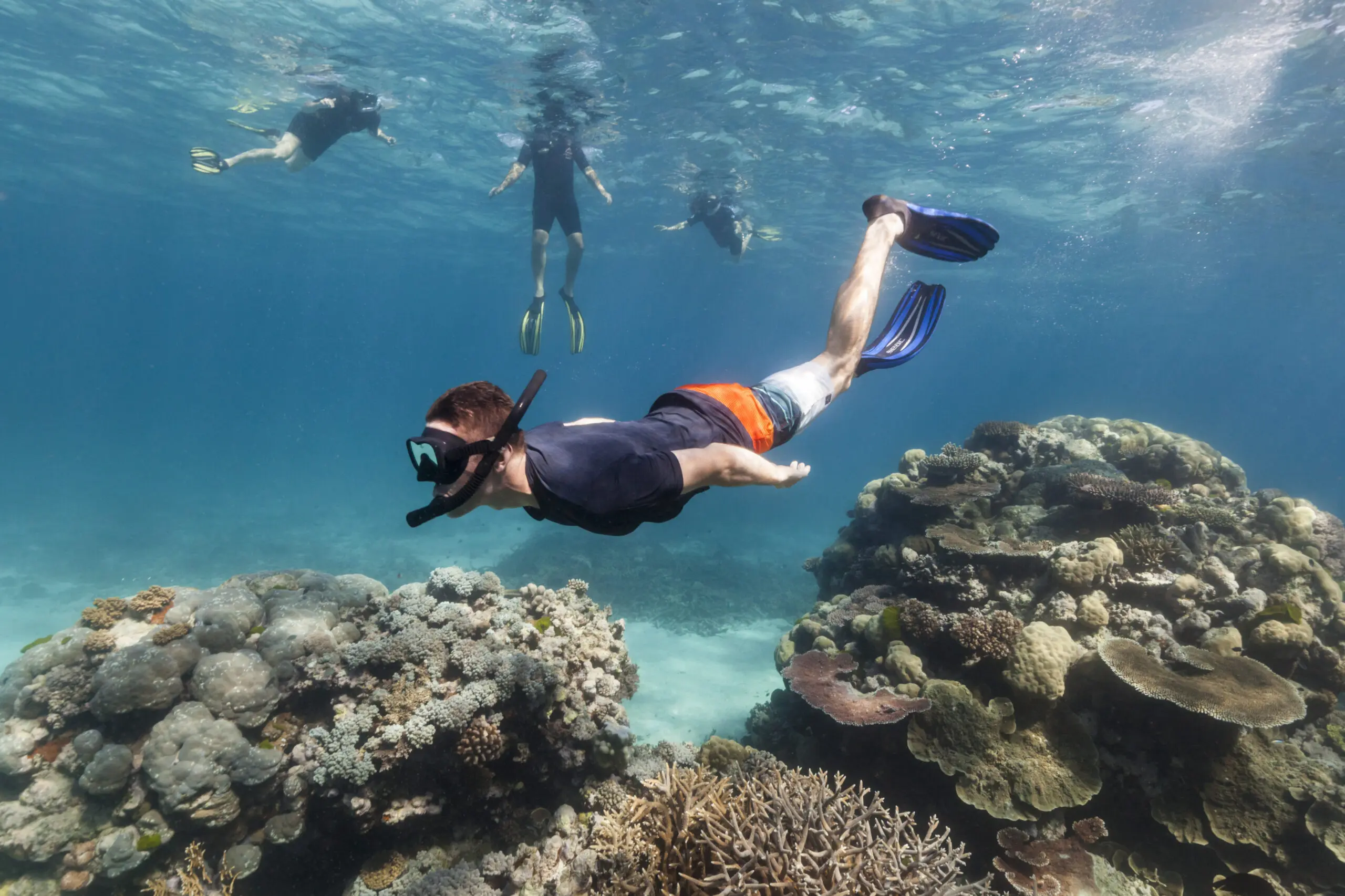Your experience at Coral Island Sunset Cruise