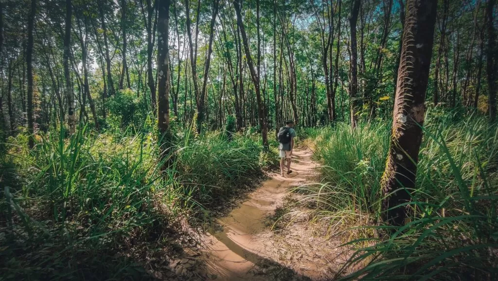 Island Nature Trail