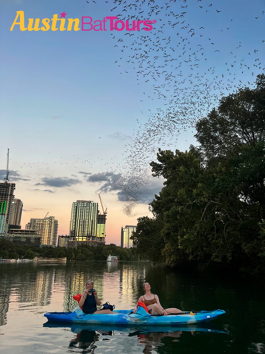Austin Bat Kayak Tour