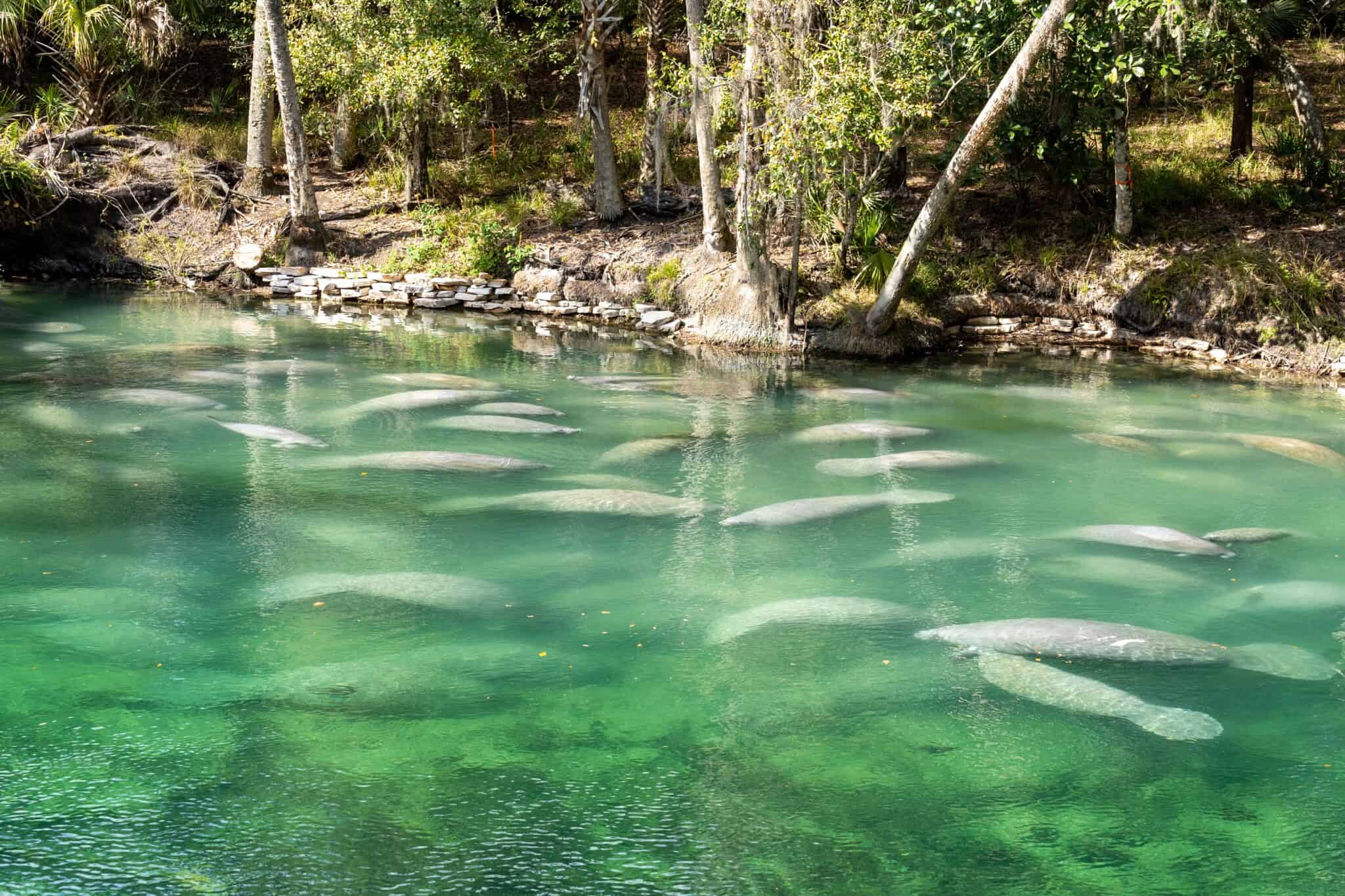 Manatee Habitat Zone