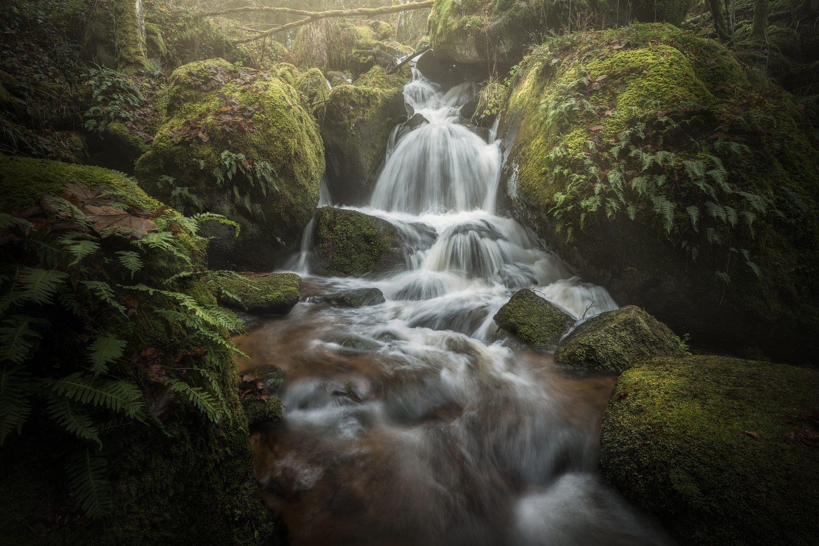 Benjamin Constant Fall