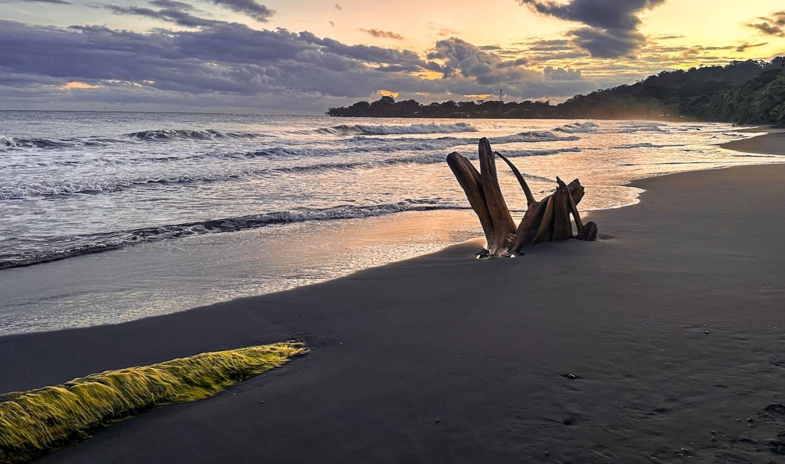 Playa Negra