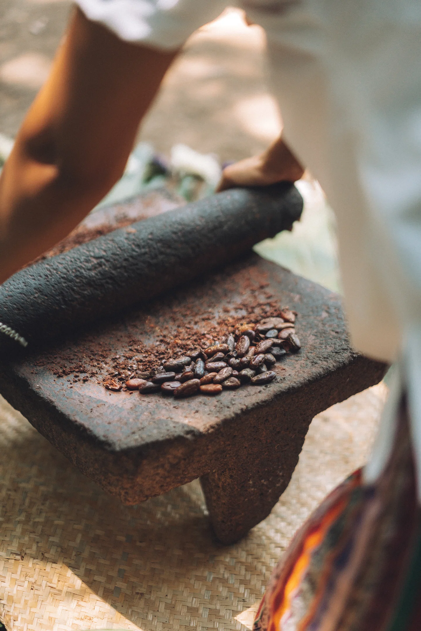 Your experience at Bribri Chocolate Tour