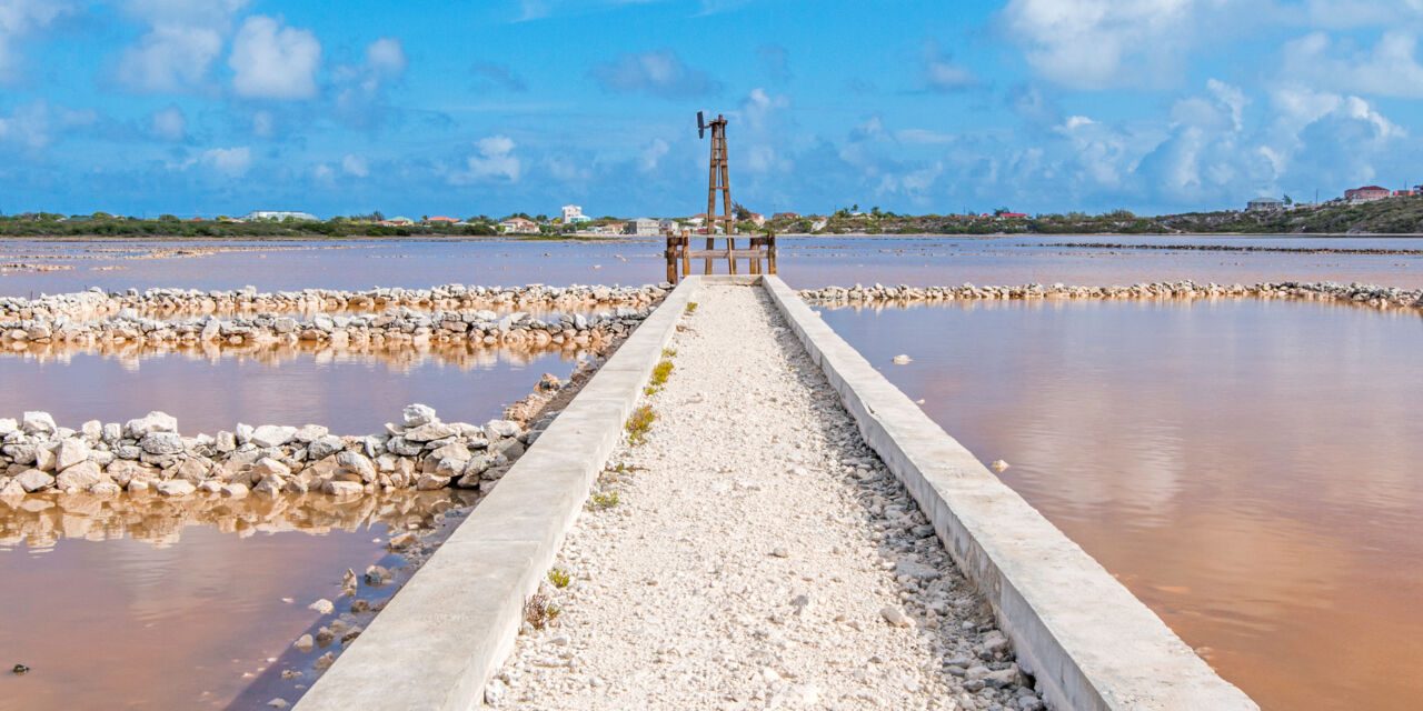 Hawkes Nest Salina