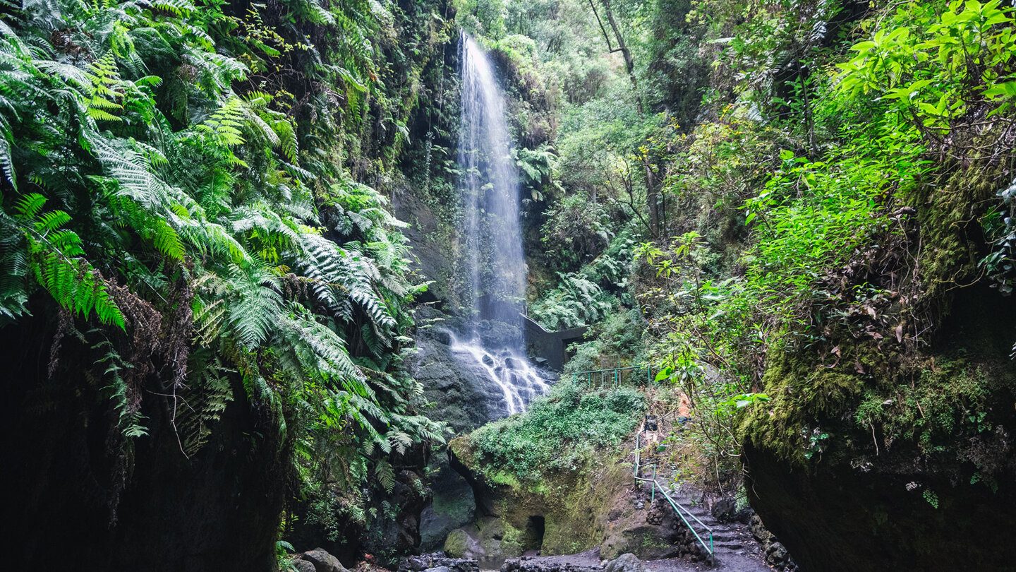 Barranco de los Tilos