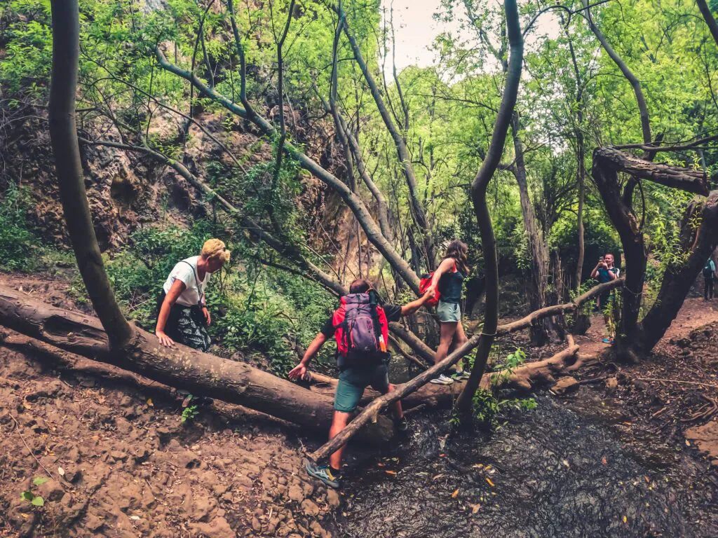 Gran Canaria Rainforest Tour