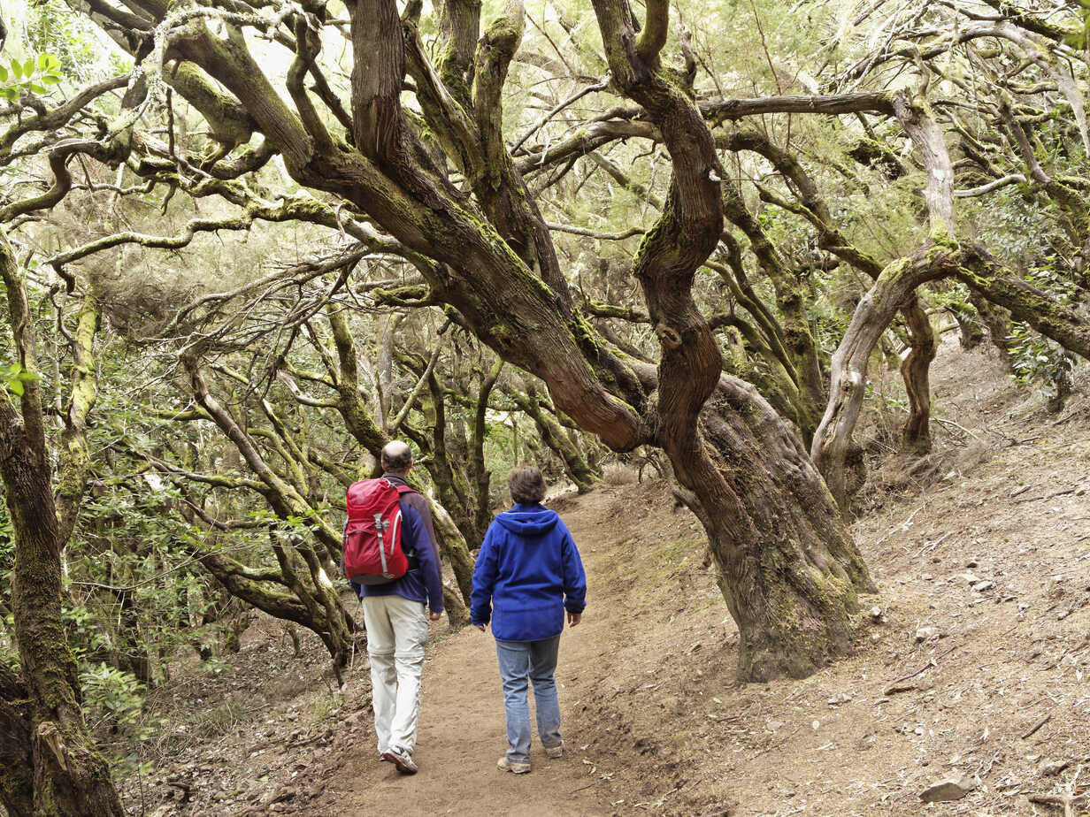 Your experience at Gran Canaria Rainforest Tour